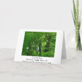 Carte Dans les arbres (Dos)