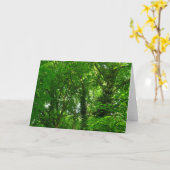 Carte Dans les arbres (Fleur jaune)