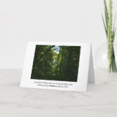 Carte Dans les bois sombres (Dos)