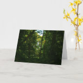 Carte Dans les bois sombres (Fleur jaune)