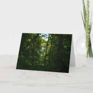 Carte Dans les bois sombres