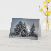 Carte Dans L'Esprit De L'hiver (Fleur jaune)