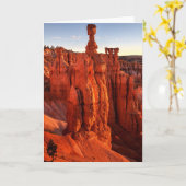 Carte Dans l'ombre de Giants (Fleur jaune)