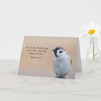 Dans Mes pensées - Sparrow et Matthieu 10:31