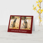 Carte Danse Tabby Chat Anniversaire (Fleur jaune)
