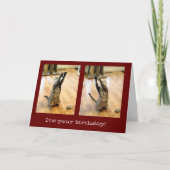 Carte Danse Tabby Chat Anniversaire (Devant)