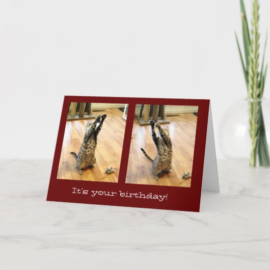 Carte Danse Tabby Chat Anniversaire (Devant)