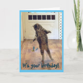 Carte Danse Tabby Chat Anniversaire (Devant)
