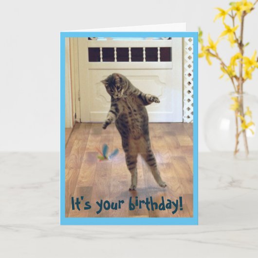 Carte Danse Tabby Chat Anniversaire (Fleur jaune)