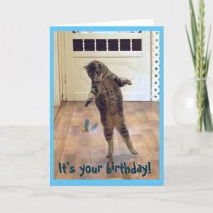 Carte Danse Tabby Chat Anniversaire