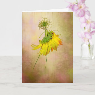 Carte Danseuse de jardin