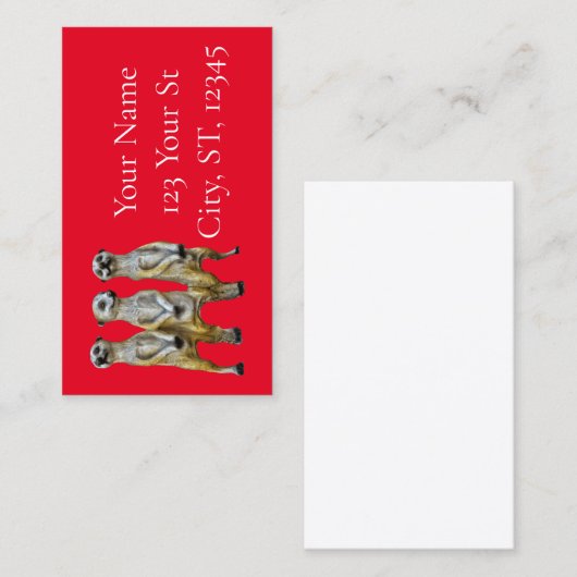 Carte D'appel 3 Meerkats debats Thunder_Cove (Devant / Derrière)