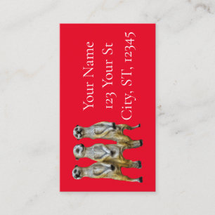 Carte D'appel 3 Meerkats debats Thunder_Cove