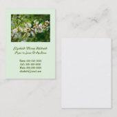 Carte D'appel Baubépine de printemps à pattes de soleil (Devant / Derrière)