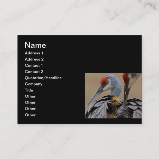Carte D'appel Bébé Sandhill avec la maman (Devant)