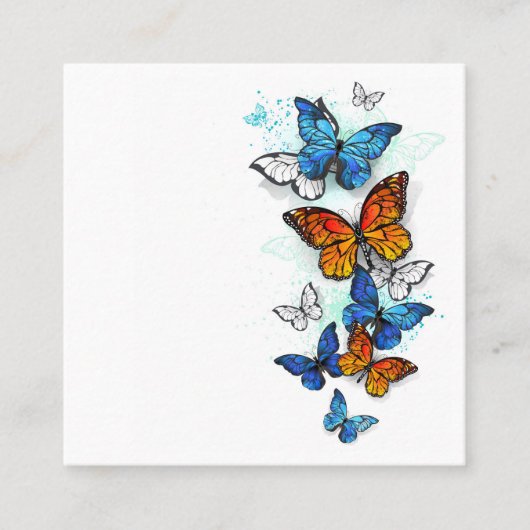 Carte D'appel Papillons volants Morpho et Monarch (Devant)