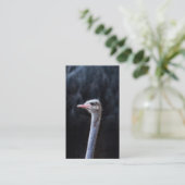 Carte D'appel Photographie d'autruche (Debout devant)