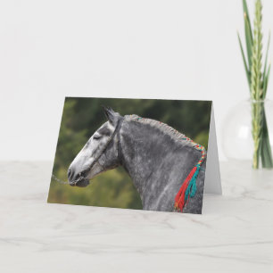 Carte Dappy gris Percheron cheval anniversaire