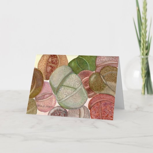 Carte d'aquarelle Lithops par Debra Lee Baldwin (Devant)