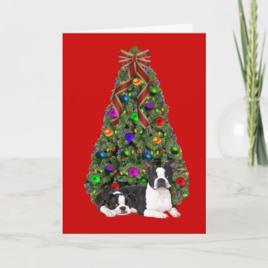 Carte d'arbre de Noël Boston Terrier (Devant)