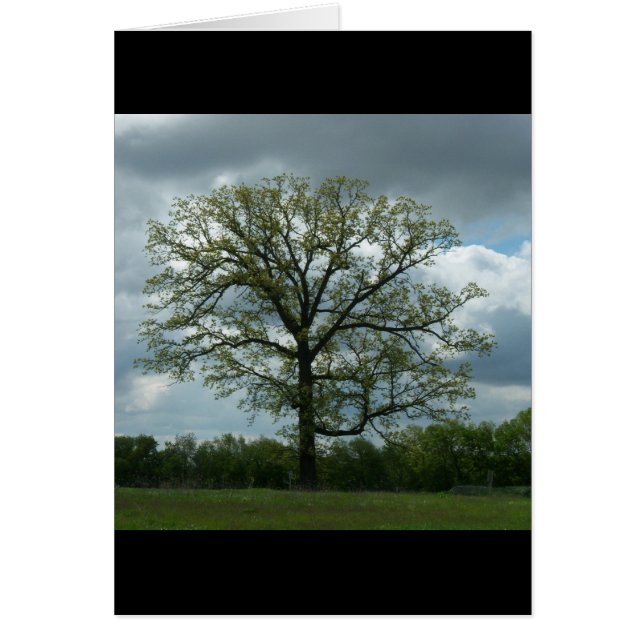 Carte d'arbre de ressort (Devant)