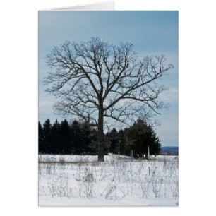 Carte d'arbre d'hiver