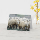 Carte Dare to be different! Sheepdog Saying ... (Fleur jaune)