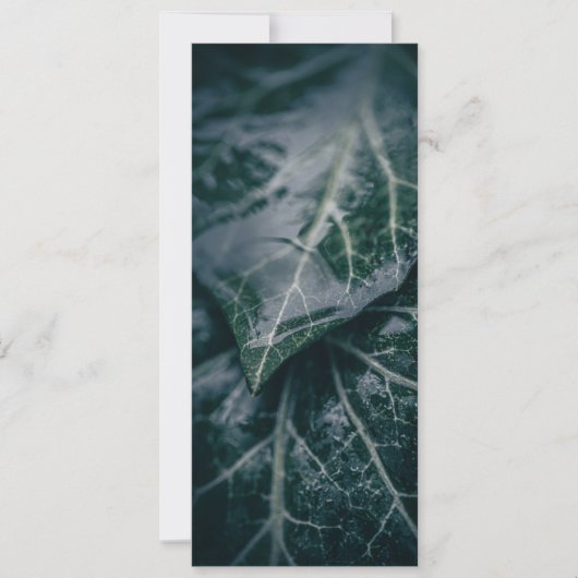 Carte Dark Moody Ivy Feuille Nature Photo (Devant)