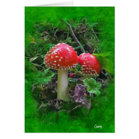 Carte d'art Amanita Muscaria sur Vert - 5" x 7" (Devant)