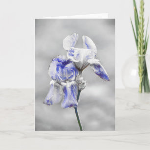 Carte d'art Artsy Blue Grey Iris