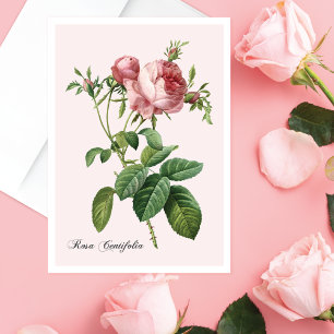 Carte d'art botanique rose
