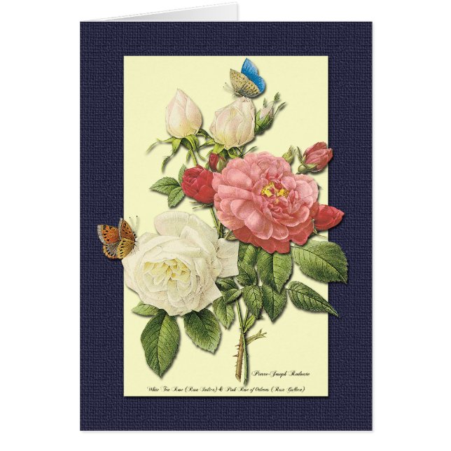 Carte d'art botanique Roses blanches et rouges (Devant)