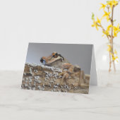 Carte d'art Cutie Pacific Tree Frog-Frameable (Fleur jaune)