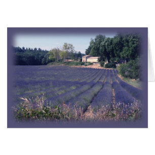 Carte d'art de blanc de brume de lavande