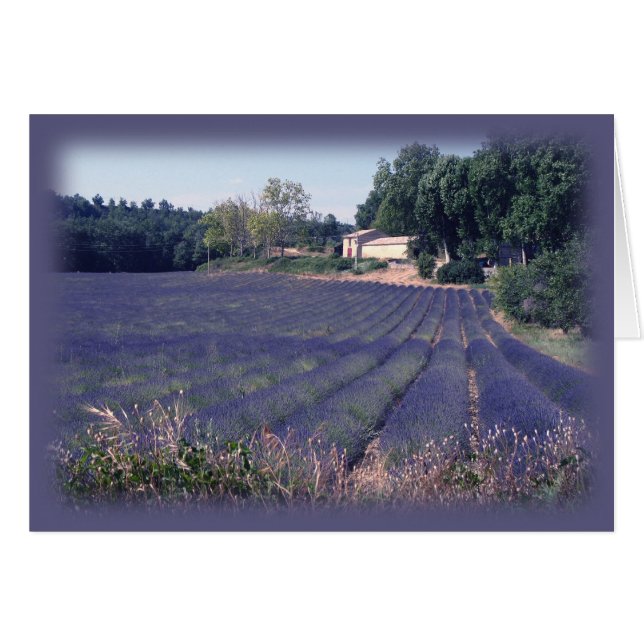 Carte d'art de blanc de brume de lavande (Devant horizontal)