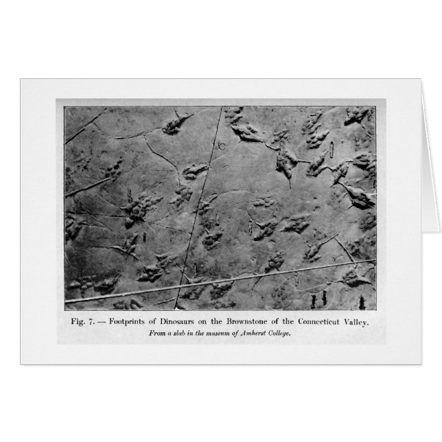 Carte d'art d'empreintes de pas de dinosaure (Devant horizontal)