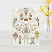 Carte d'art d'Ernst Haeckel : Copepoda (Fleur jaune)