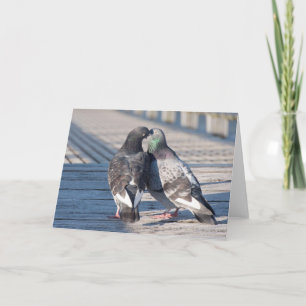 Carte d'art encadrable aux pigeons qui s'embrassen