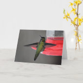 Carte d'art encadrable de colibri Anna (Fleur jaune)