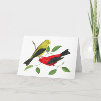 Carte d'art faunique Scarlet Tanager