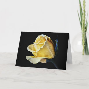 Carte d'art Fleur Rose Jaune Crème