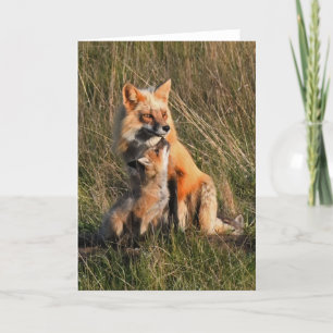 Carte d'art Frameable Daddy et Baby Fox