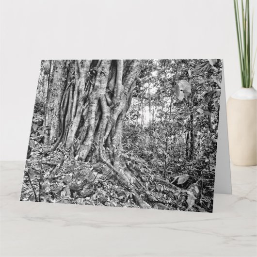 Carte d'art géant de la forêt tropicale Australie (Devant)