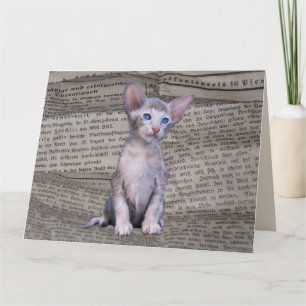 CARTE D'ART JOURNAL DE JOURNAL CAT LOVE SIAMESE