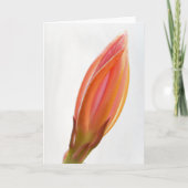 Carte d'art orangé Cactus Orchid Bud Orange (Devant)