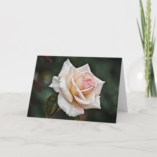Carte d'art rose vierge (Devant)