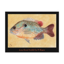 Carte d'art Sunfish
