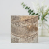 Carte Date Palm Tree Trunk Texture Fermer Photo Image (Debout devant)