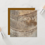 Carte Date Palm Tree Trunk Texture Fermer Photo Image (Devant/Arrière en situation)