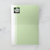 Carte Datura du matin (Intérieur)